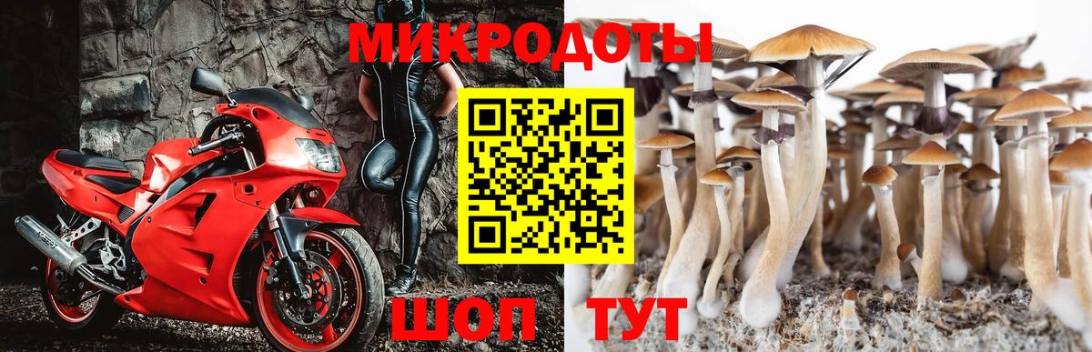 Псков  Псилоцибиновые грибы MAGIC MUSHROOMS  Вход с VPN 